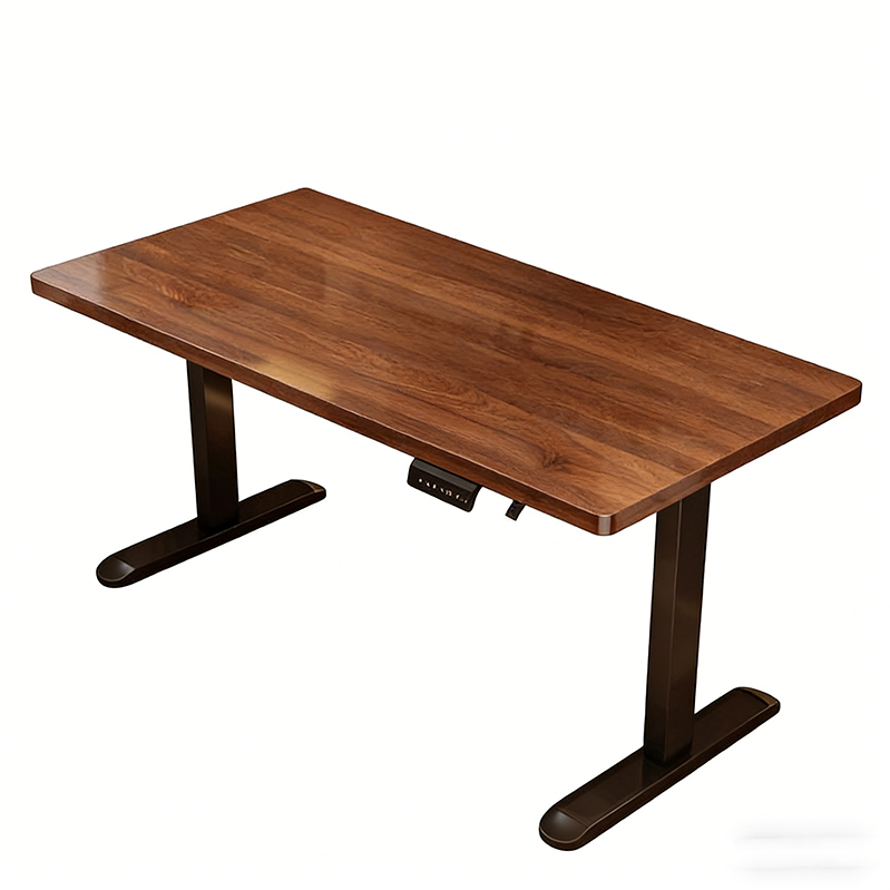 Modern Iron Dual Motor Electri - Desk Setup Bedroom recension och pris