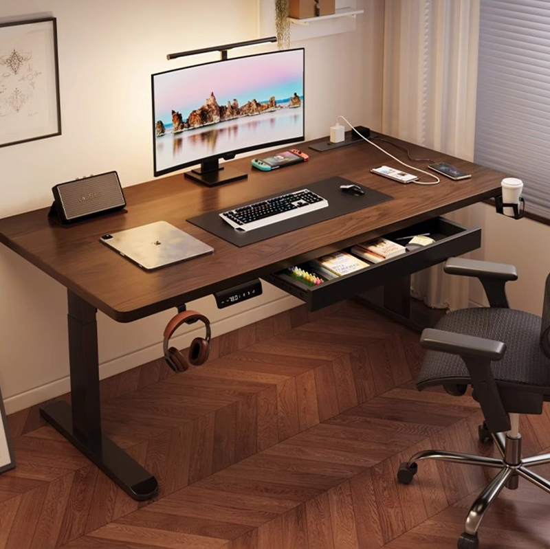 Modern Iron Dual Motor Electri - Desk Setup Bedroom recension och pris